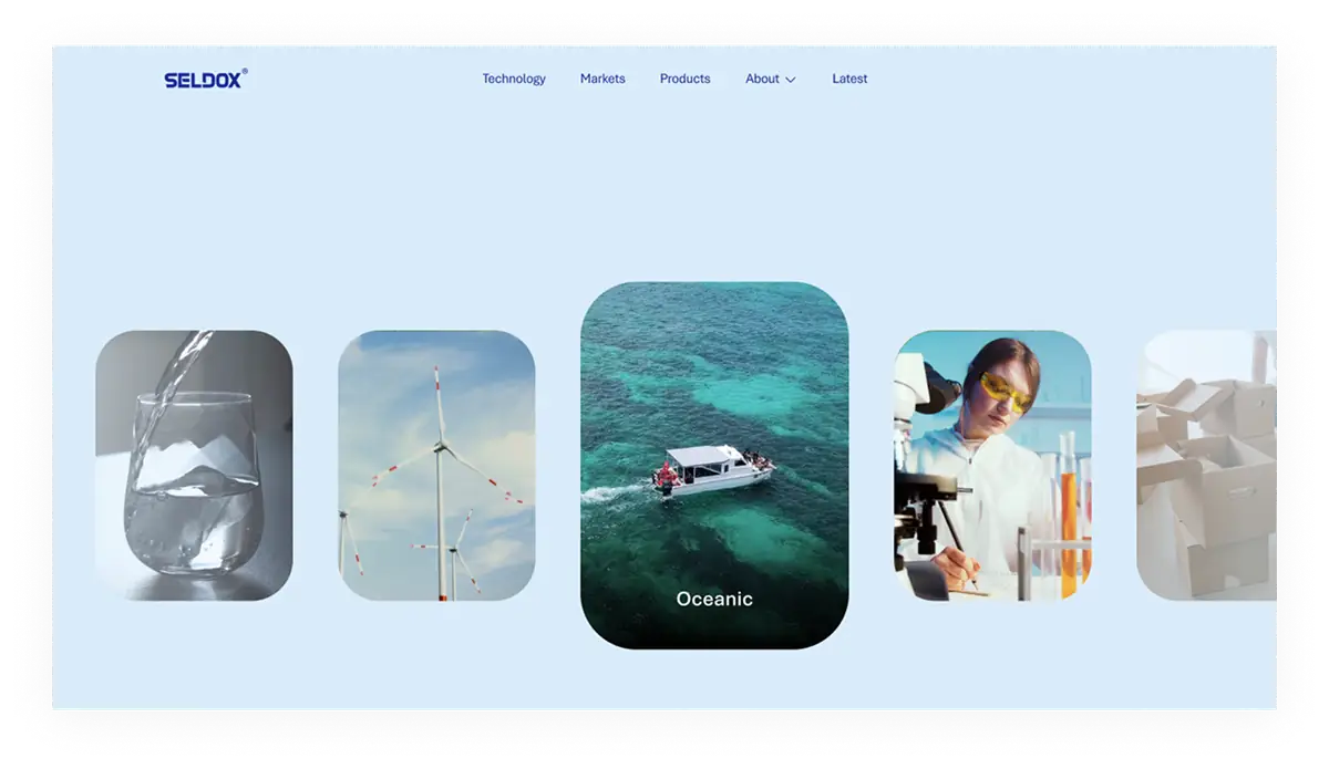 Screens from the Seldox platform