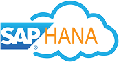 SAP HANA DB